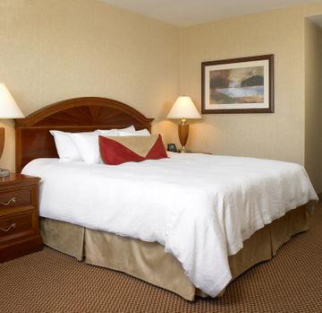 Hilton Garden Inn Queens Jfk - Newly Renovated Hotel Nueva York